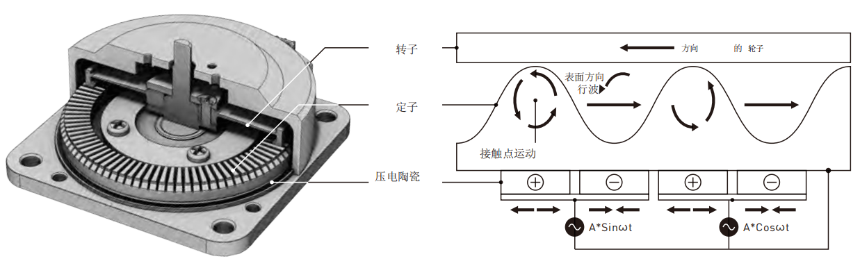 790c4e869d77fcc1b0516a37de6ff56.png
